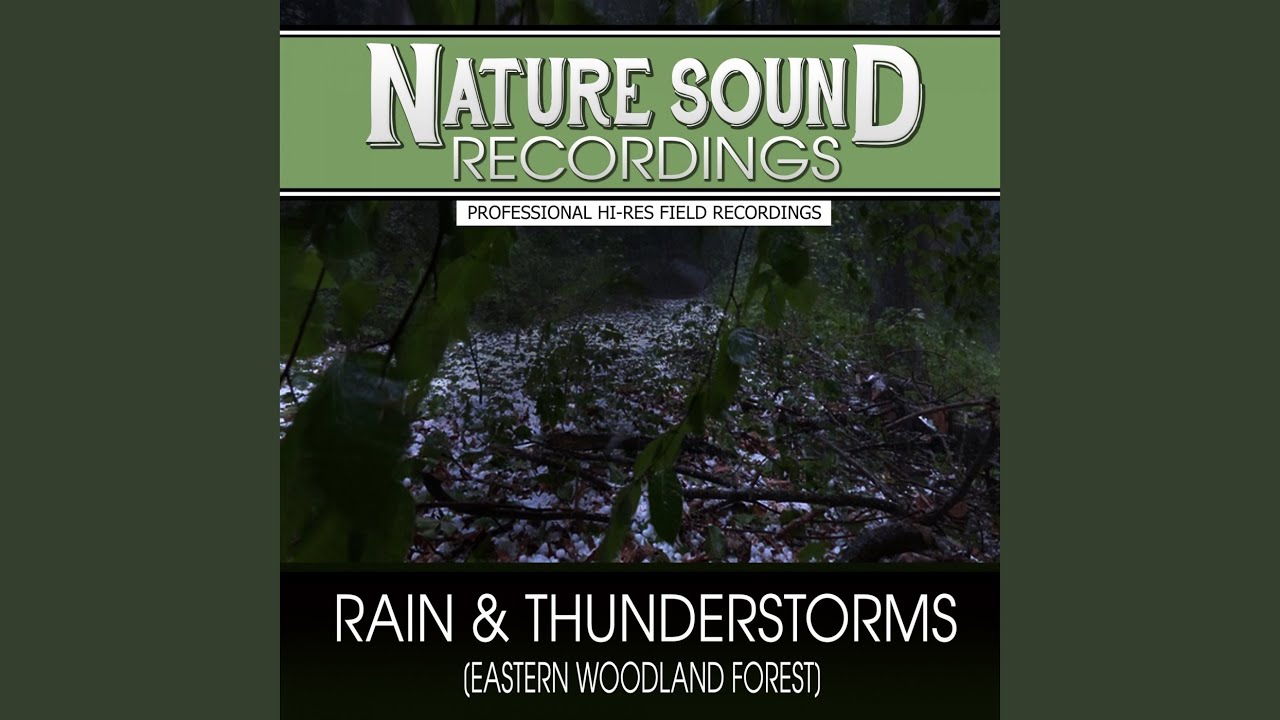 Forest Thunderstorm