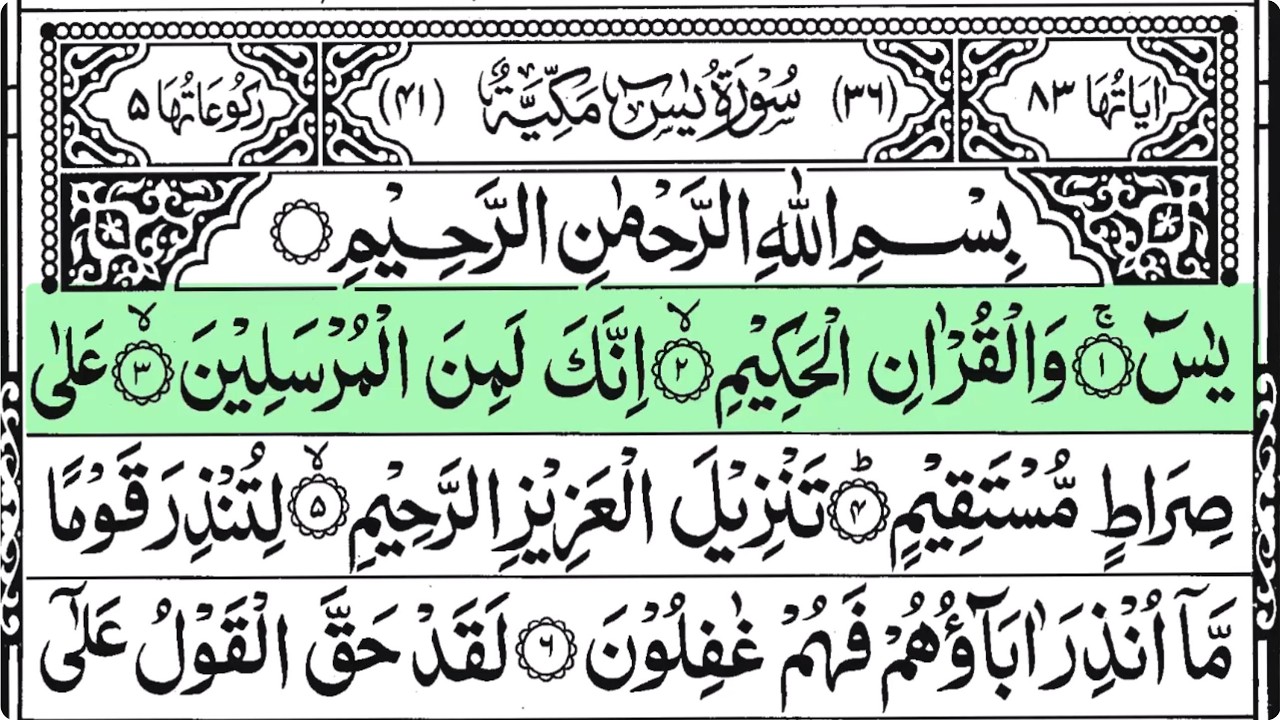 سورة الرحمن | تلاوة رائعة بصوت جميل جداً Surah Ar Rahman Recited By Amr Zakaria