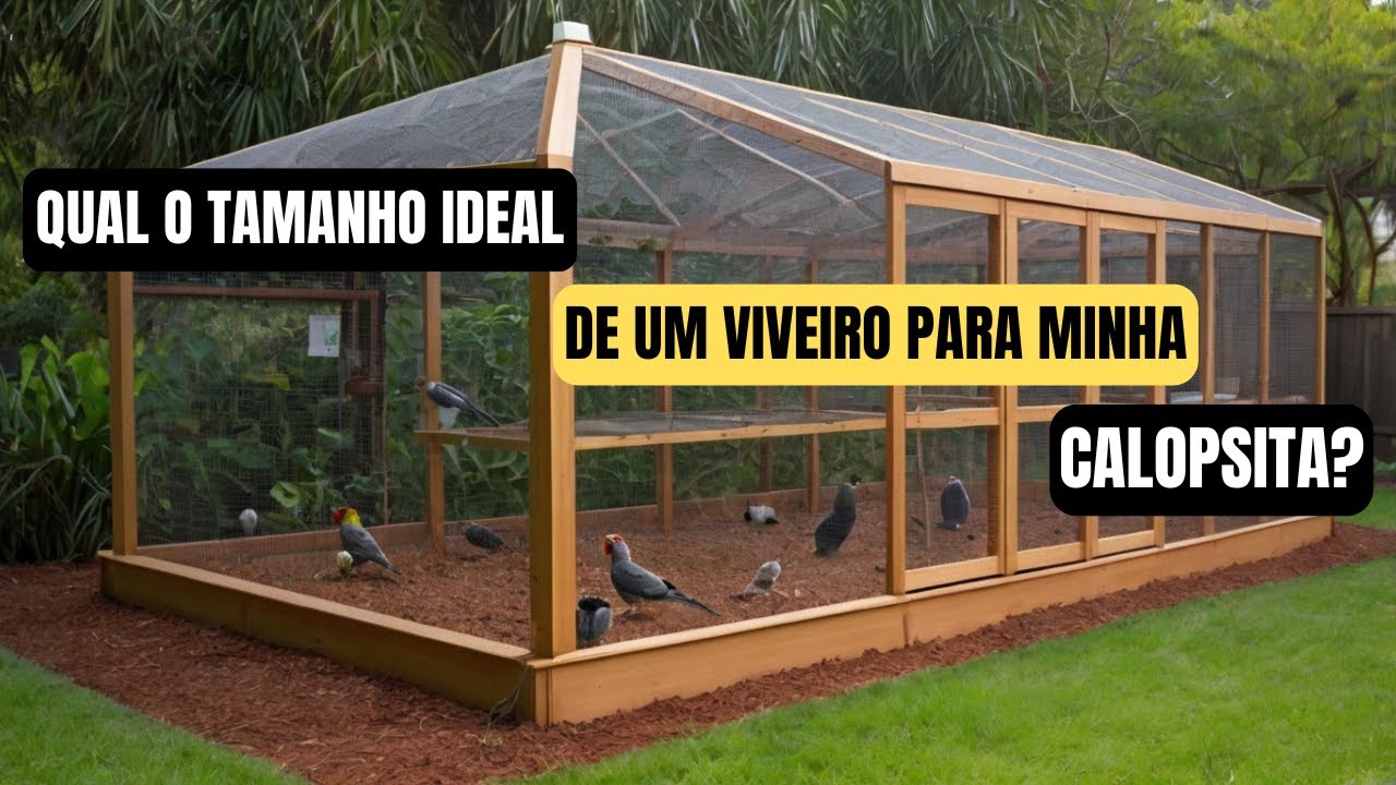 QUAL O TAMANHO IDEAL DE VIVEIRO PARA CALOPSITA