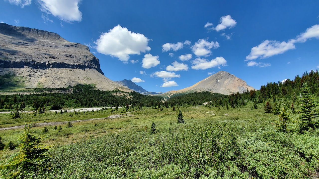 Brazeau Loop - Nigel Pass Trailhead to FourPoint campground - Day 1 of 5 - 2023