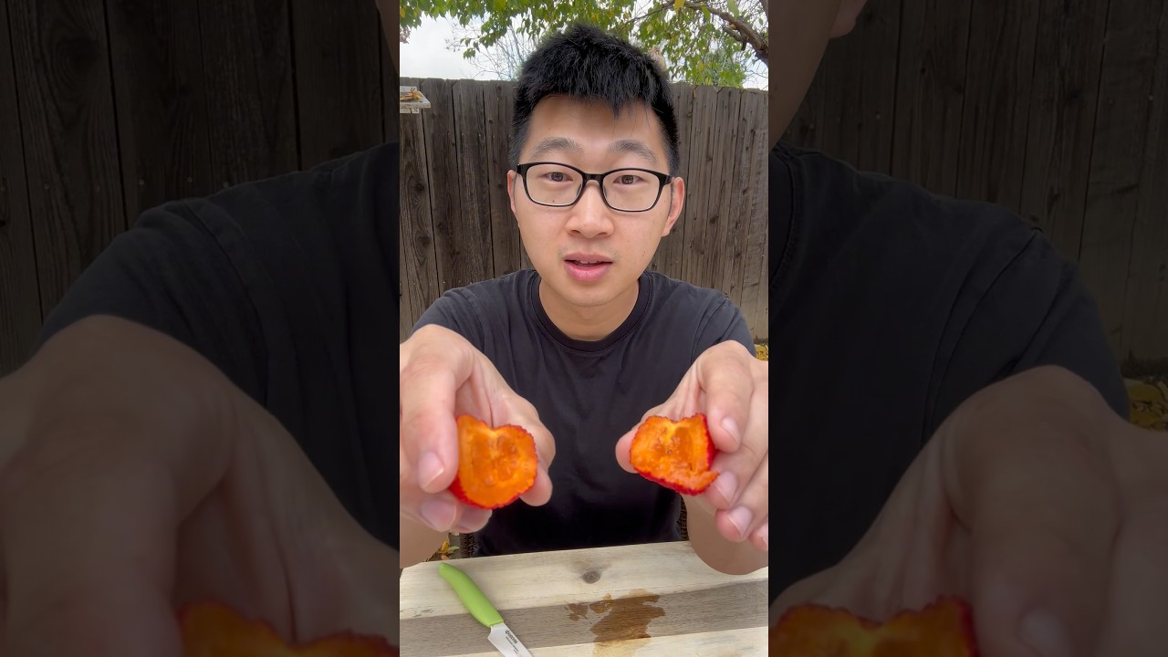 Trying the EXOTIC Strawberry Tree Berry! #exoticfruit #strawberrytreeberry