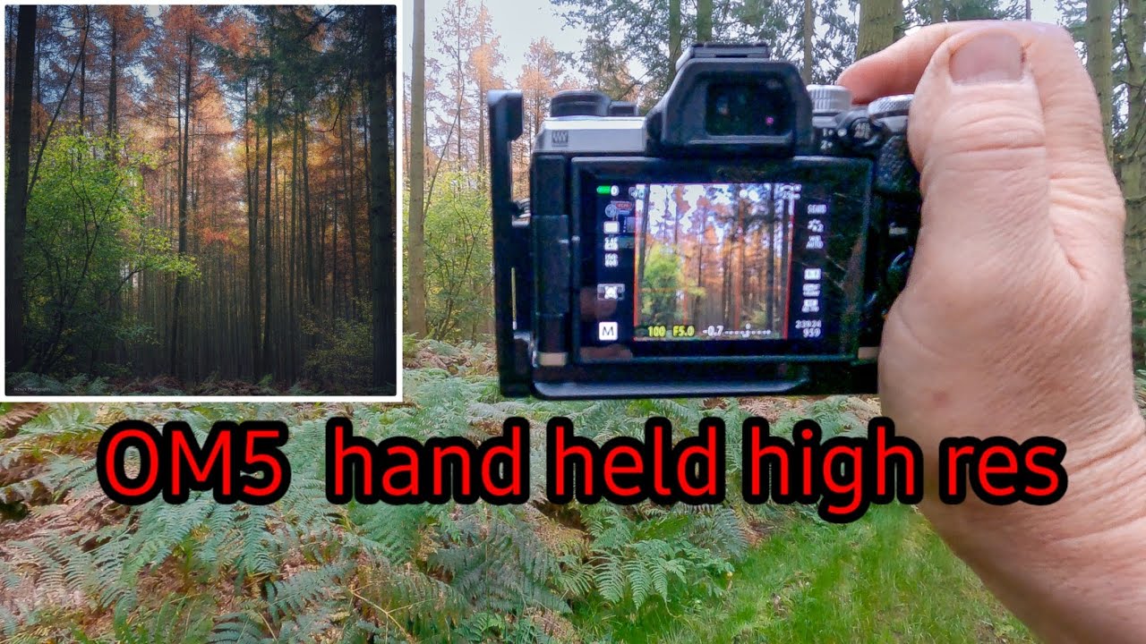 OM-5 . Hand held high res woodland photography. OM Systems.