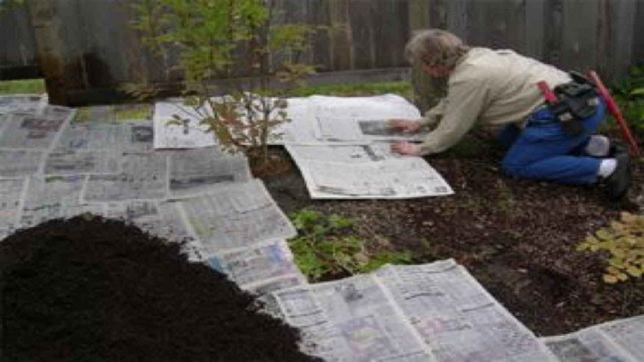 5 Weird Ways To Get Rid Of Weeds That Actually Work