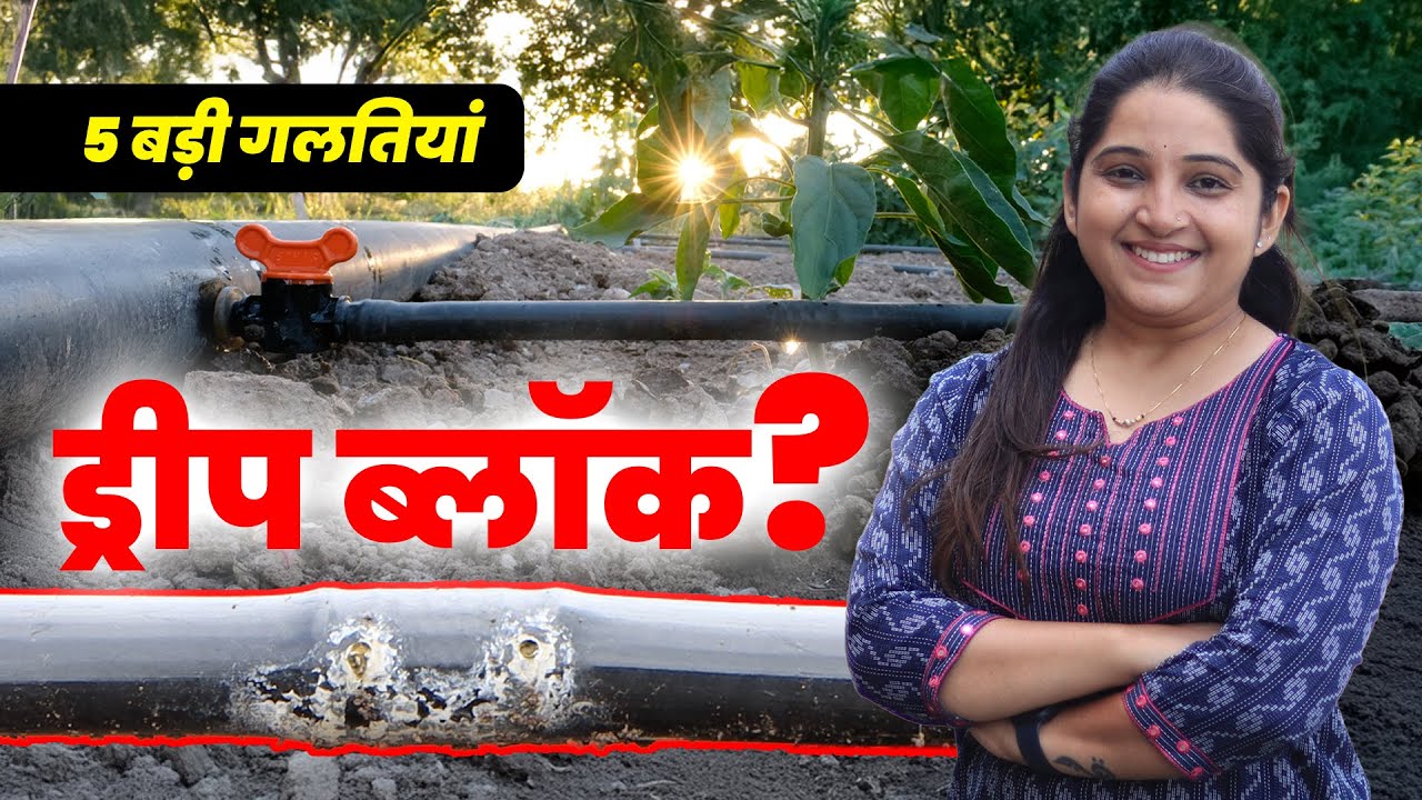 drip बार-बार चोक क्यों होती है?  क्या है सही Pressure, Filter और Acid Treatment 