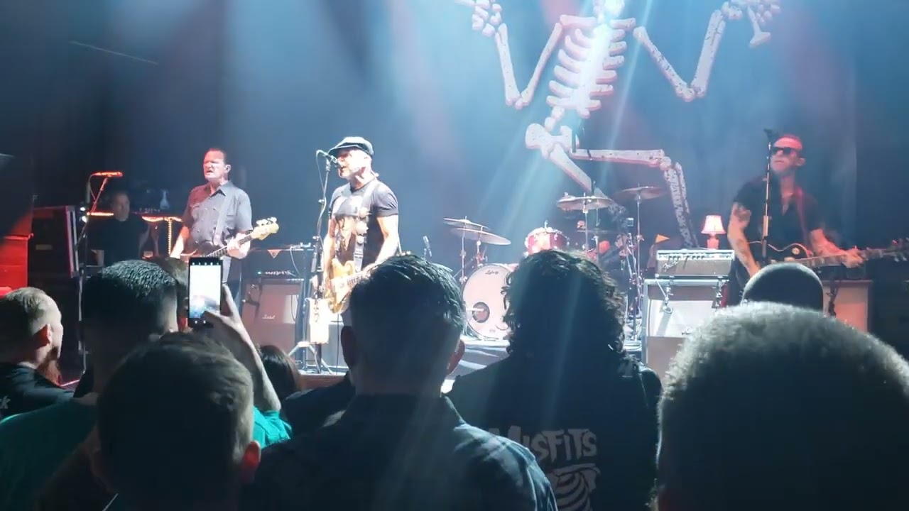 Social Distortion - Born to Kill [Live]
