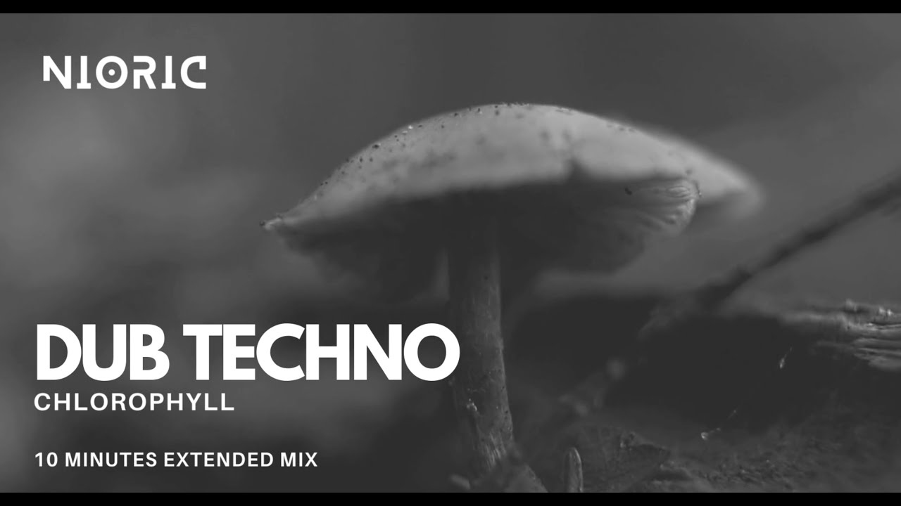 Chlorophyll - 10-Minute Dub Techno Journey | Official Video | NIORIC