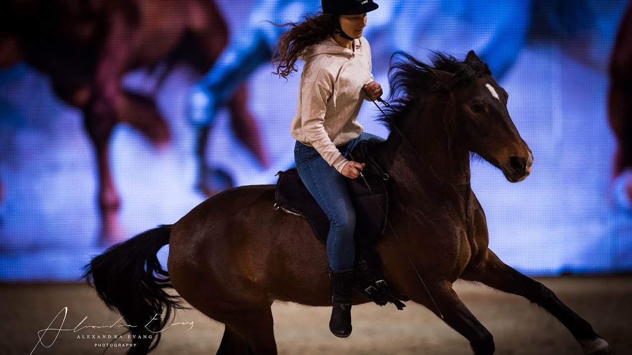 Equitana 2017 ✨ - 