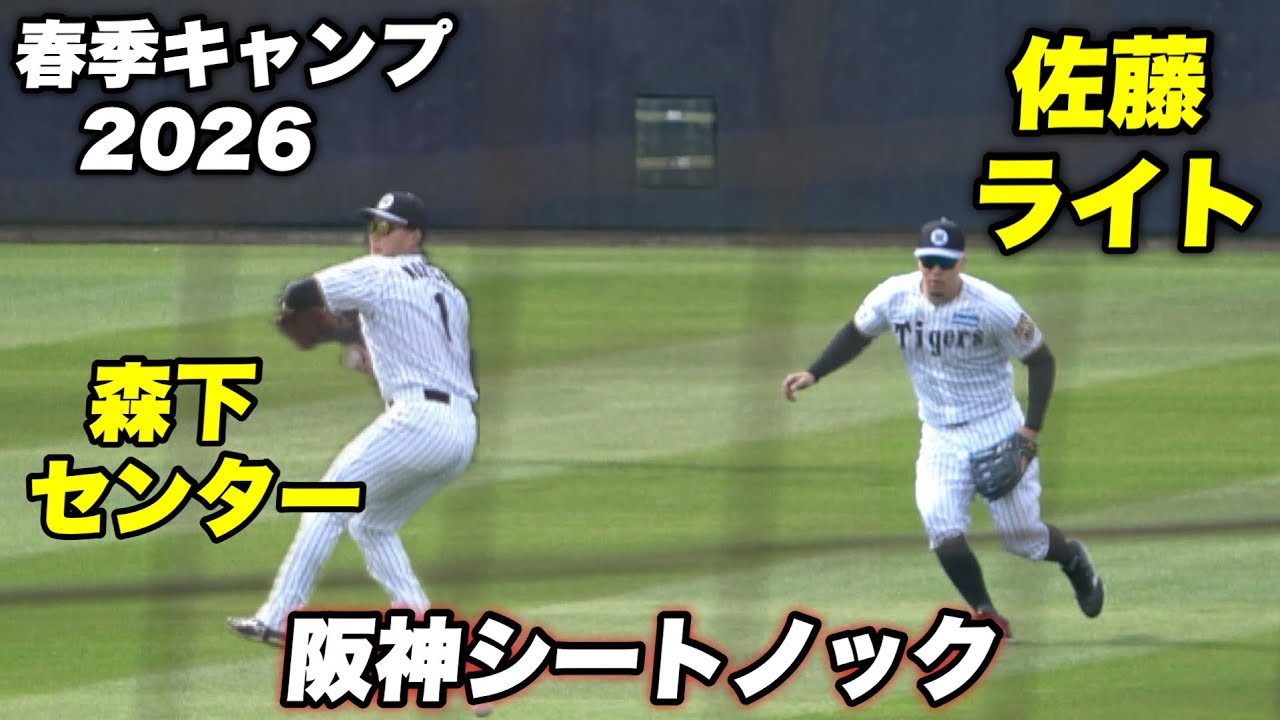 【WBCに向けての練習か！？佐藤輝明ライト 森下翔太がセンターと世界に向けてのシートノック！】