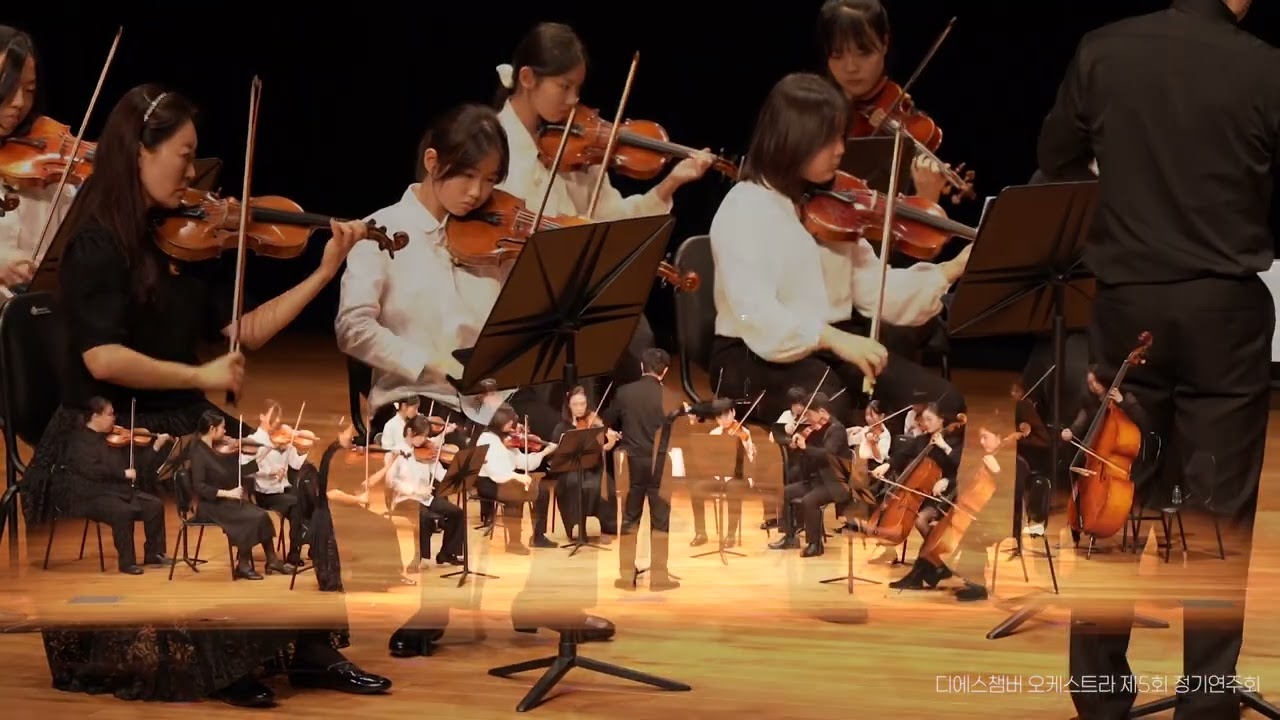 Mozart Mix  |  Dito Ensemble  |  DS Chamber Orchestra