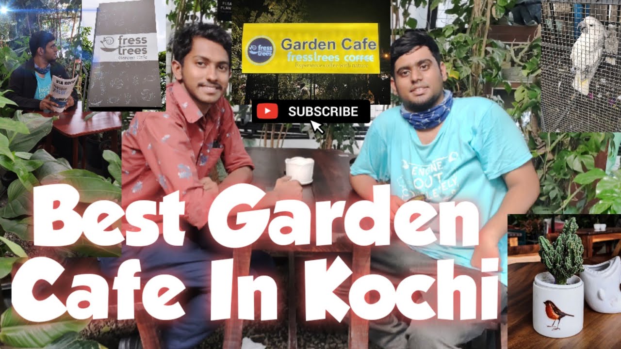 ഒരുപാട് ചെടികൾക്കിടയിൽ 🌱🪴ഭക്ഷണം🍔 കഴിച്ചപ്പോൾ🤤|Fress Trees Edappally 🥰 #fresstrees @Jainjacobjoy
