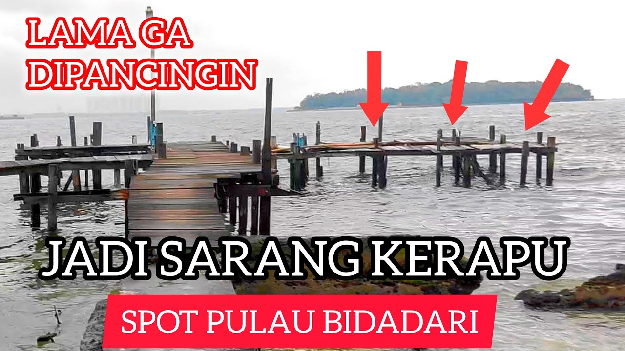 SPOT SULTAN ‼️ JARANG DIKUNJUNGI PEMANCING, MANCING DI PULAU BIDADARI KEPULAUAN SERIBU