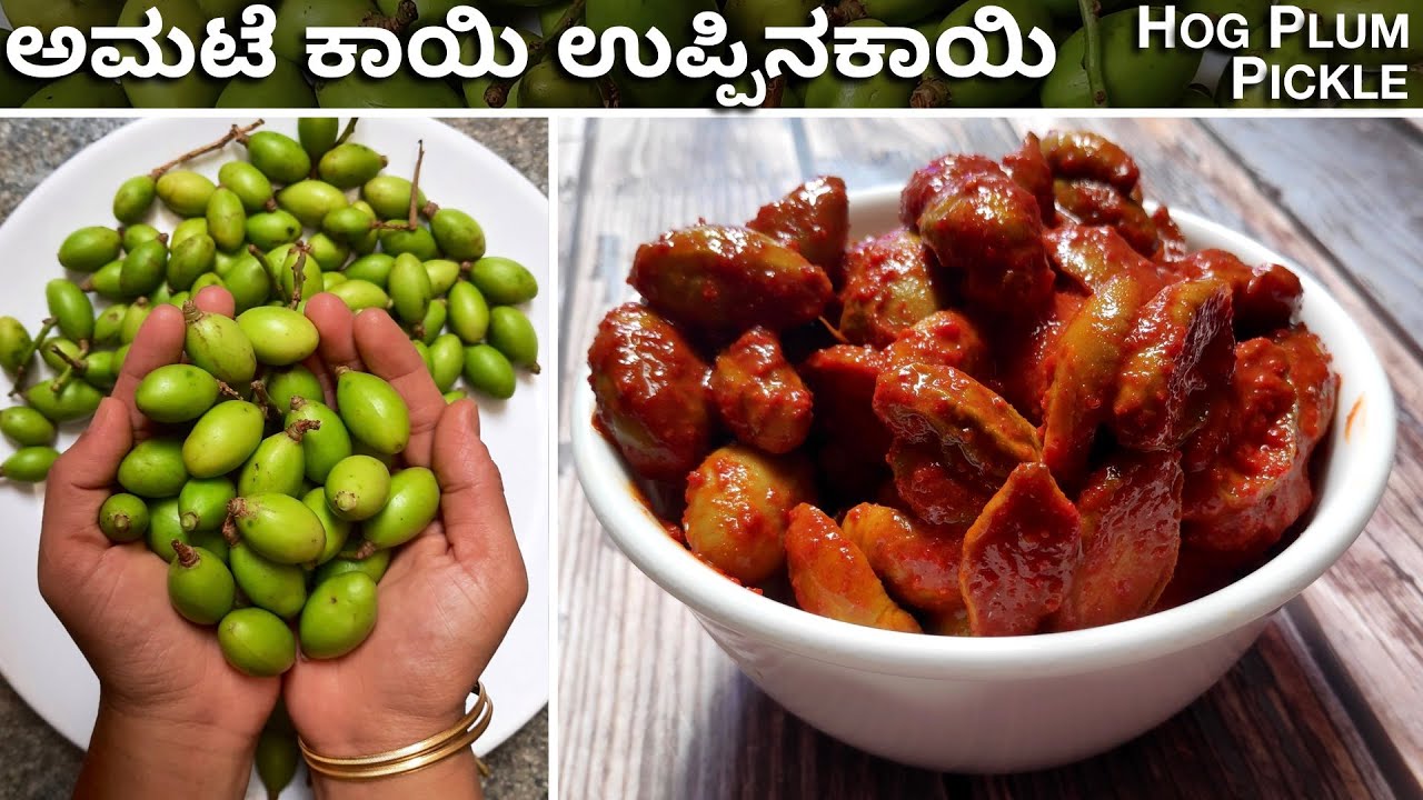 ಅಮಟೆಕಾಯಿ ಉಪ್ಪಿನಕಾಯಿ | Amtekai uppinakayi | Amatekai Pickle | Pickle Recipe | Hog Plum Recipe