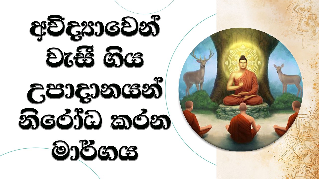 අවිද්‍යාවෙන් වැසුනු උපාදානයන් නිරෝධ කරන මග.. Ven. Mankadawala Sudassana Thero  #bana #darmadeshana