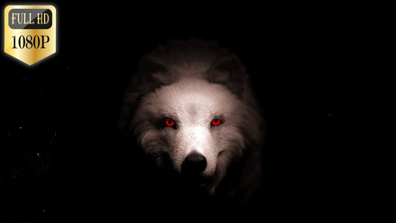 5 Free Modern Logo Reveals-Full HD-1080p-No Text-No Copyright-Download Links In Description.