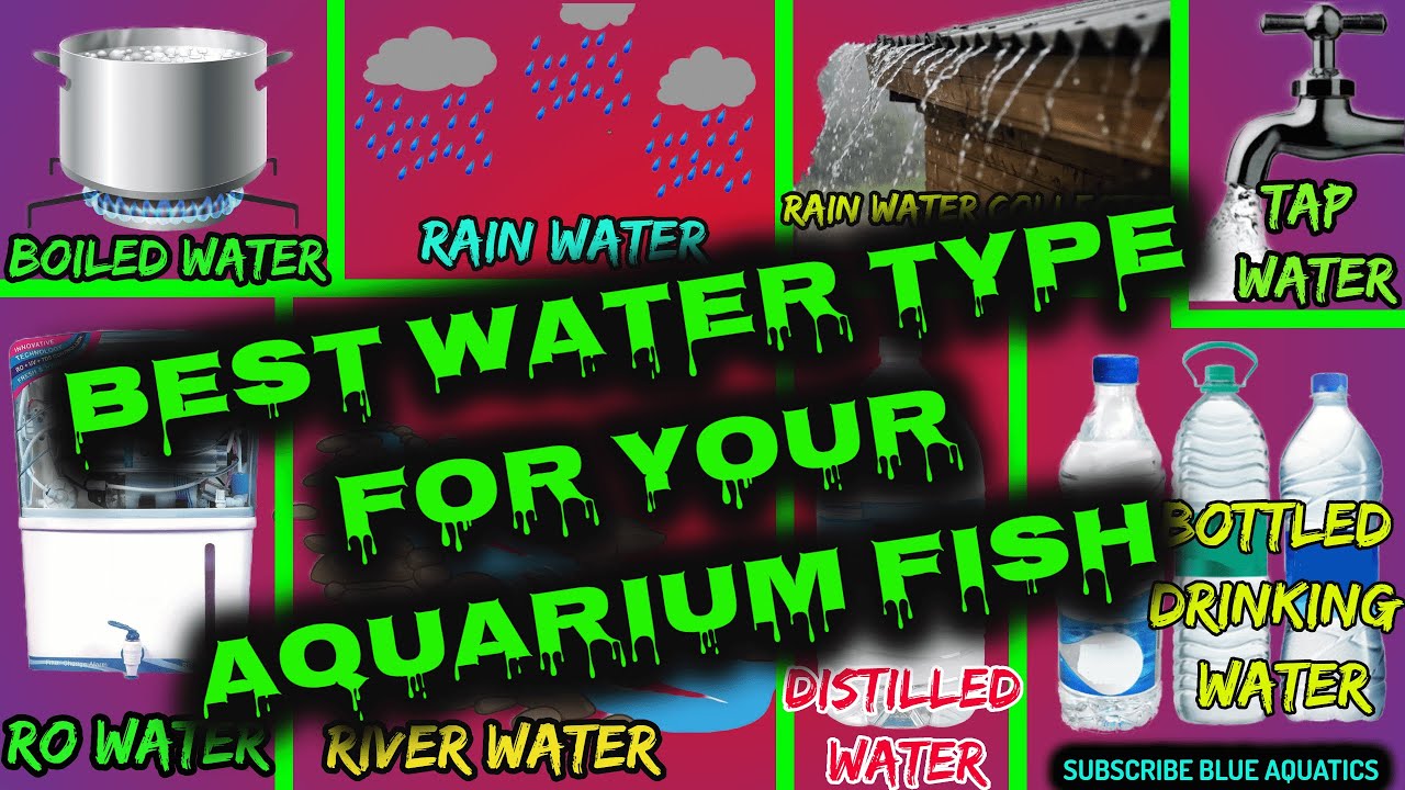Best Water for Aquarium Fish || Best water for Flowerhorn Fish