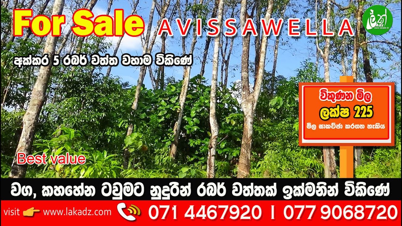 5-Acre Rubber Estate for Sale near Waga, Avissawella. Tel. 071 4467920 | 077 9068720 - LAK ADS