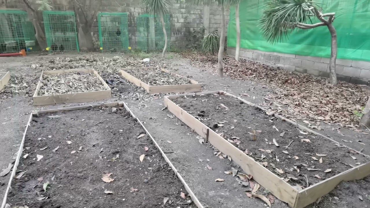 ANC, Vermicast, Rabbit Manure