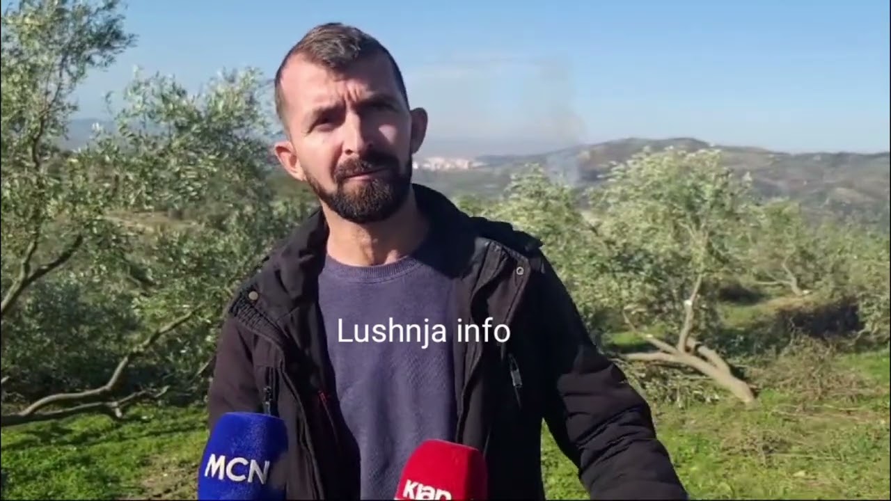 i prenë 350 rrënjë ullinj të mbjellë 20 vjet përpara në Stan Karbunarë