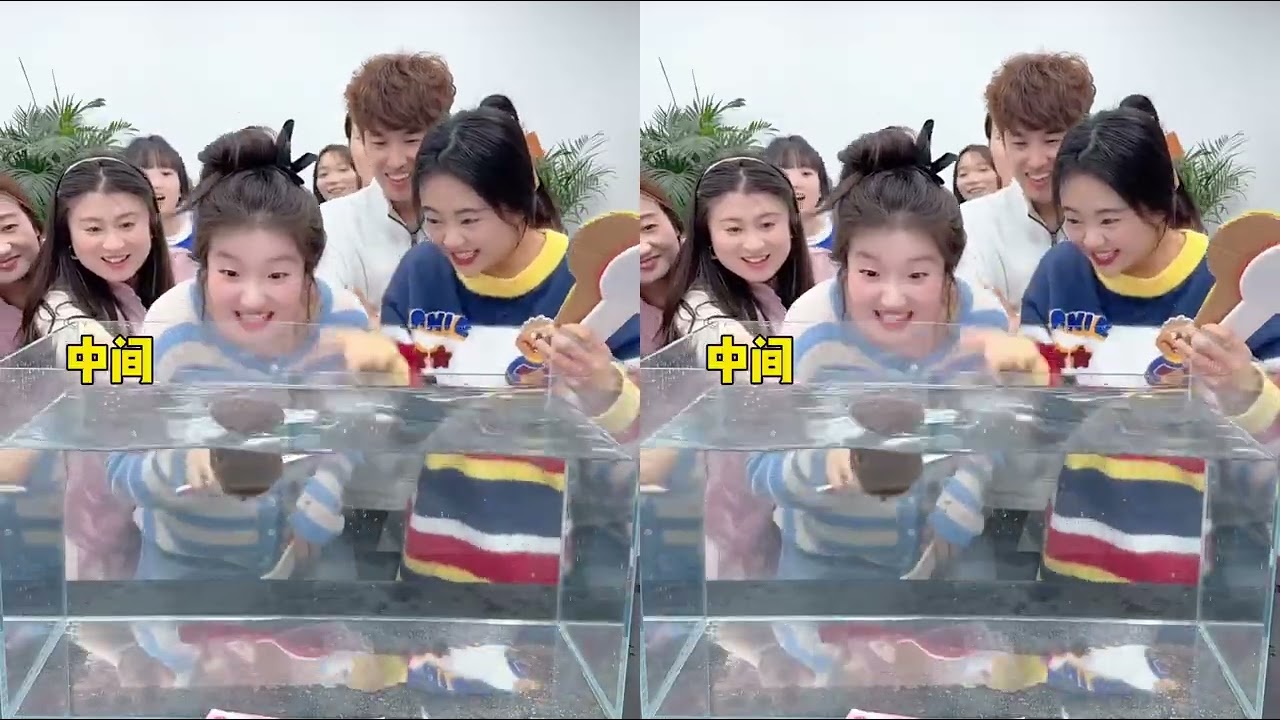 水果版浮还是沉？猜猜哪些会浮上水面！🍓🍉😂 #搞笑 #办公室游戏”