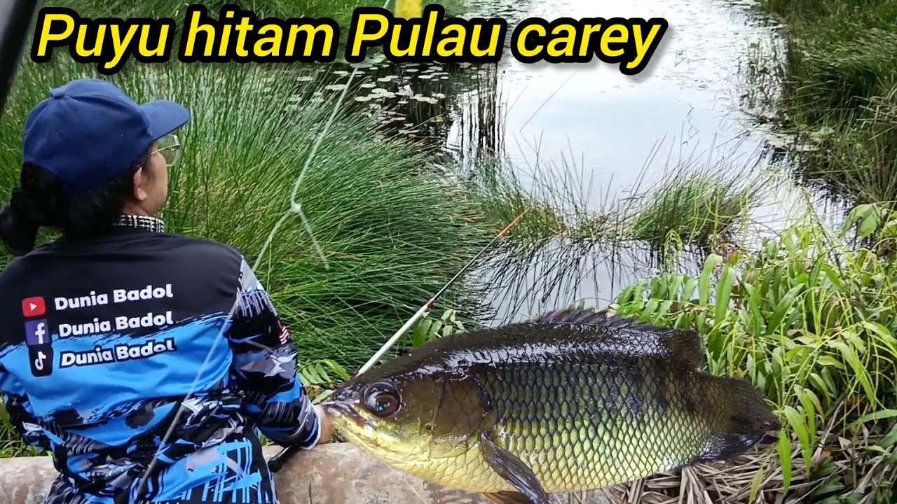 Badol memancing Puyu di Pulau Cary #gengdunia