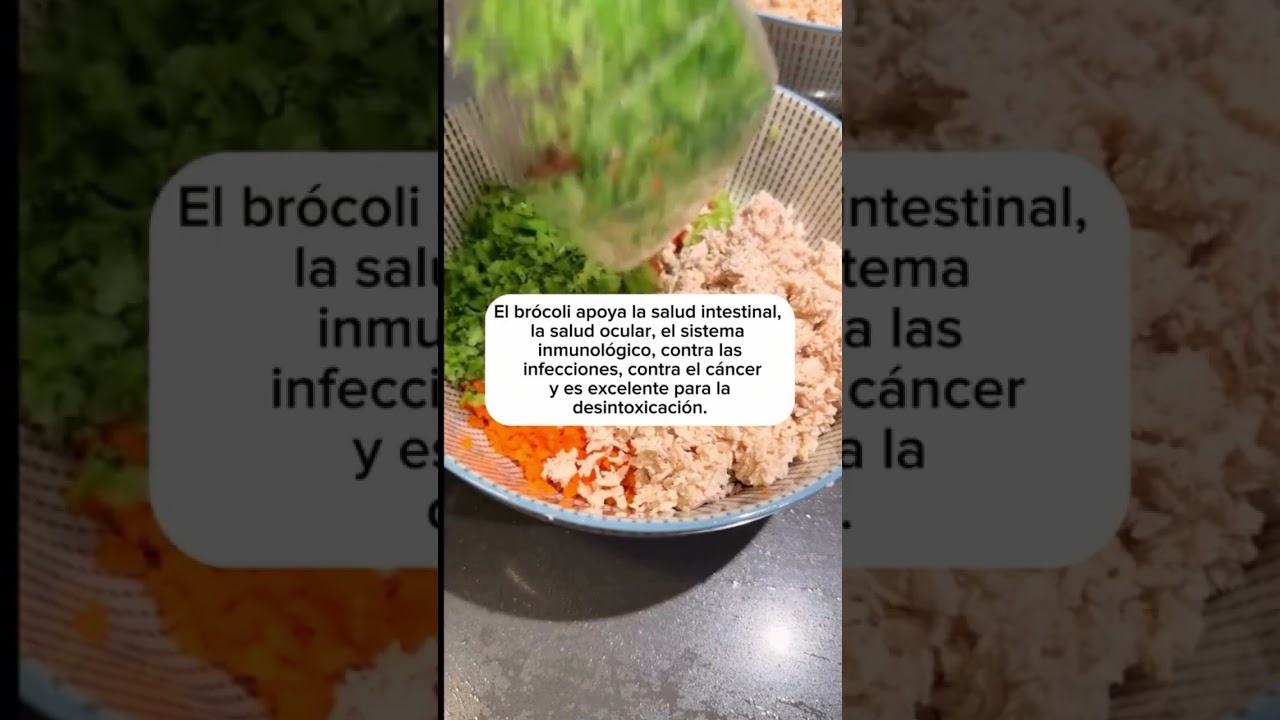 Comida h&uacute;meda casera para perros 🐕