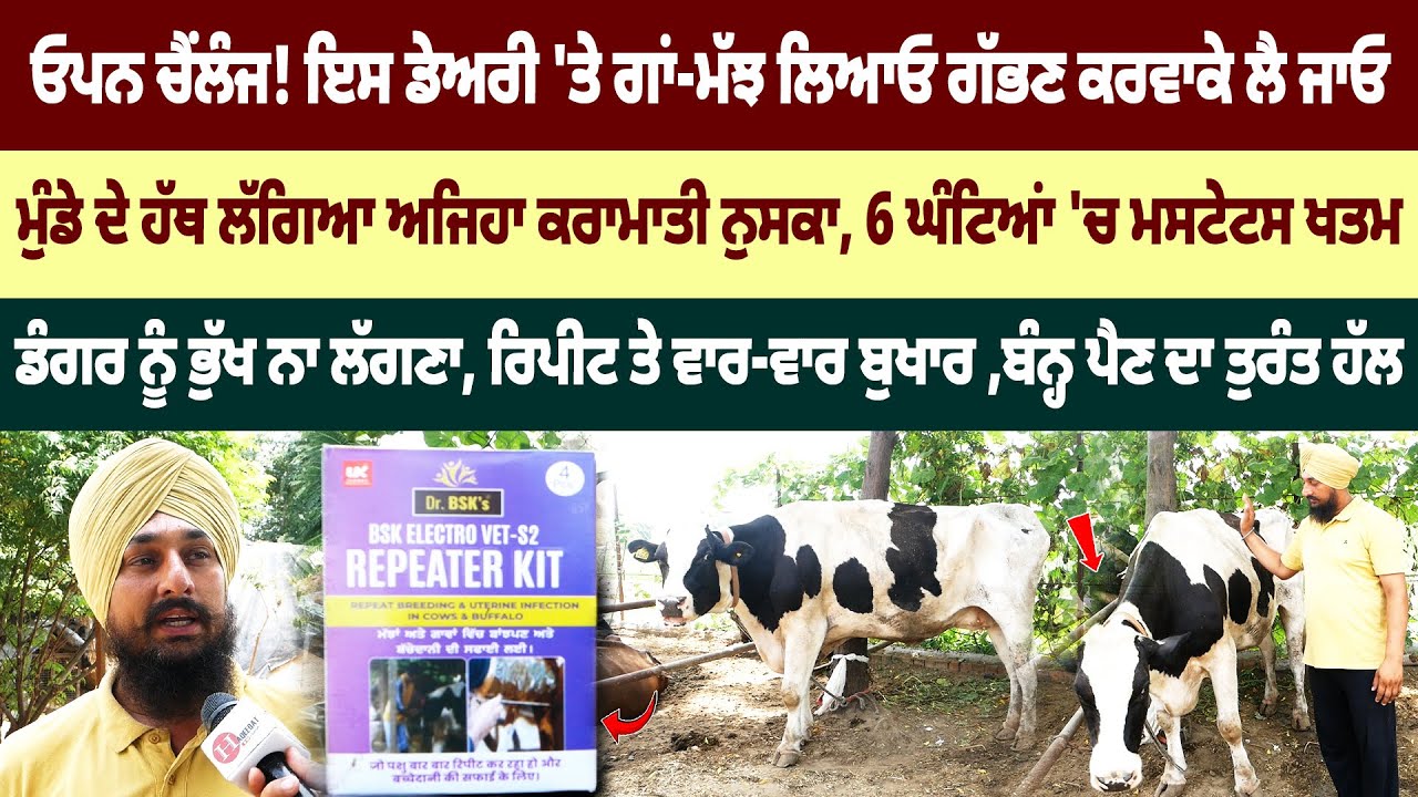 ਗਾਵਾਂ-ਮੱਝਾਂ ਦਾ ਆਹ ਮੁੰਡੇ ਦੇ ਹੱਥ ਲੱਗਿਆ ਅਜਿਹਾ ਨੁਸਕਾ ਡਾਕਟਰ ਹੈਰਾਨ