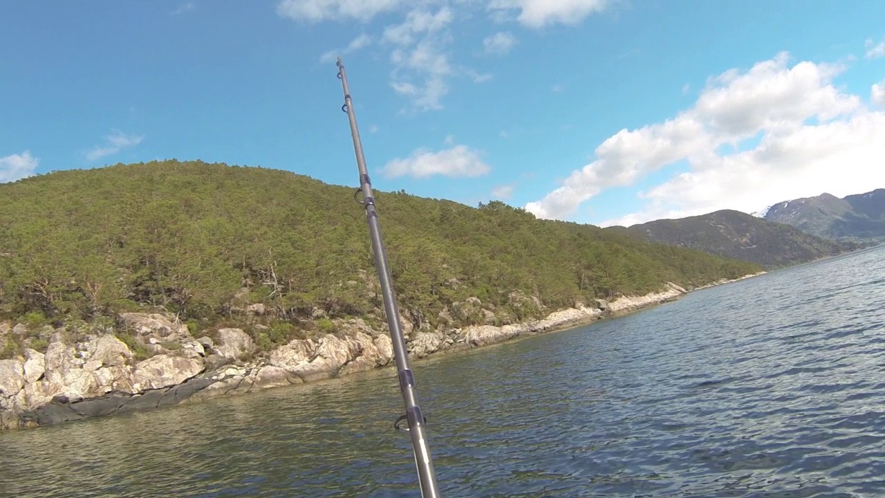 Fishing Seatrout in Norway -Bergen - Hardanger Fjord - Seatrout on artificial. Meerforelle angeln