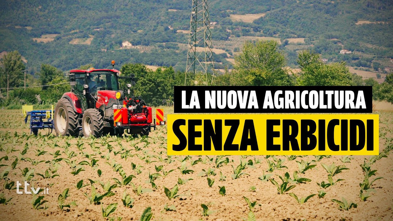 Agricoltura senza erbicidi: l&rsquo;intelligenza artificiale cambia il modo di coltivare