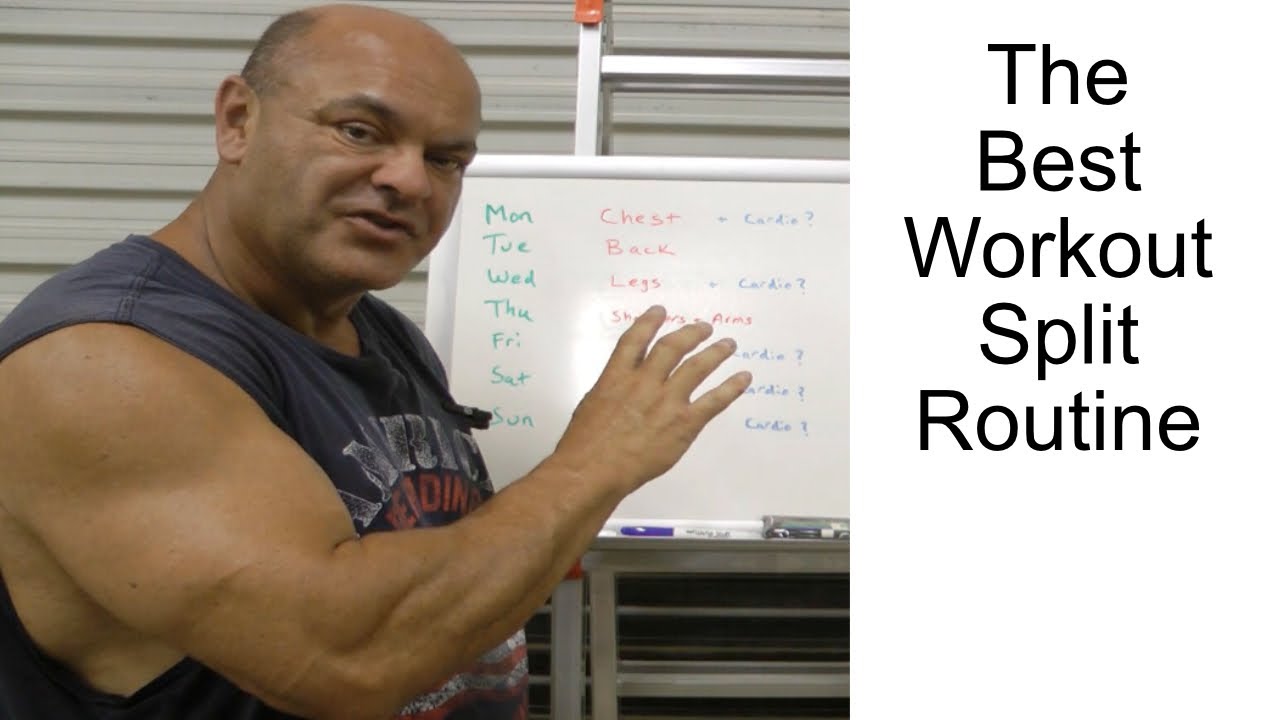 Best workout split routine