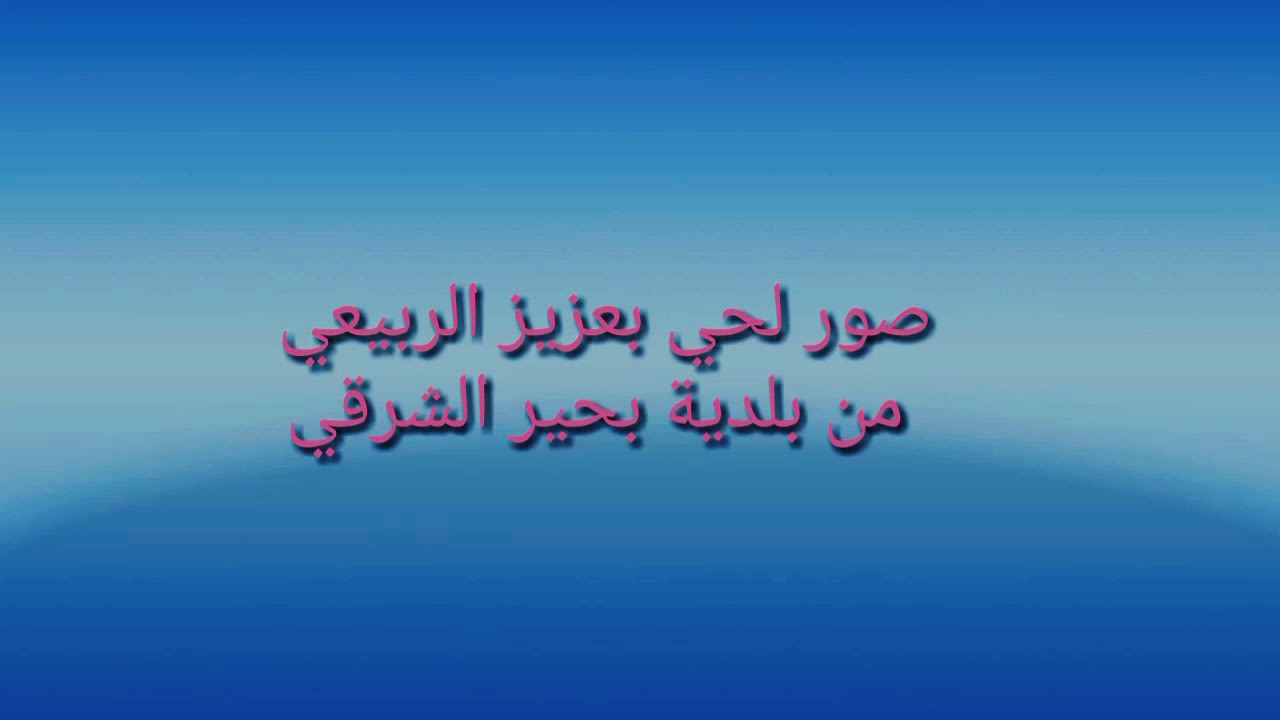 بلدية بحير الشرقي