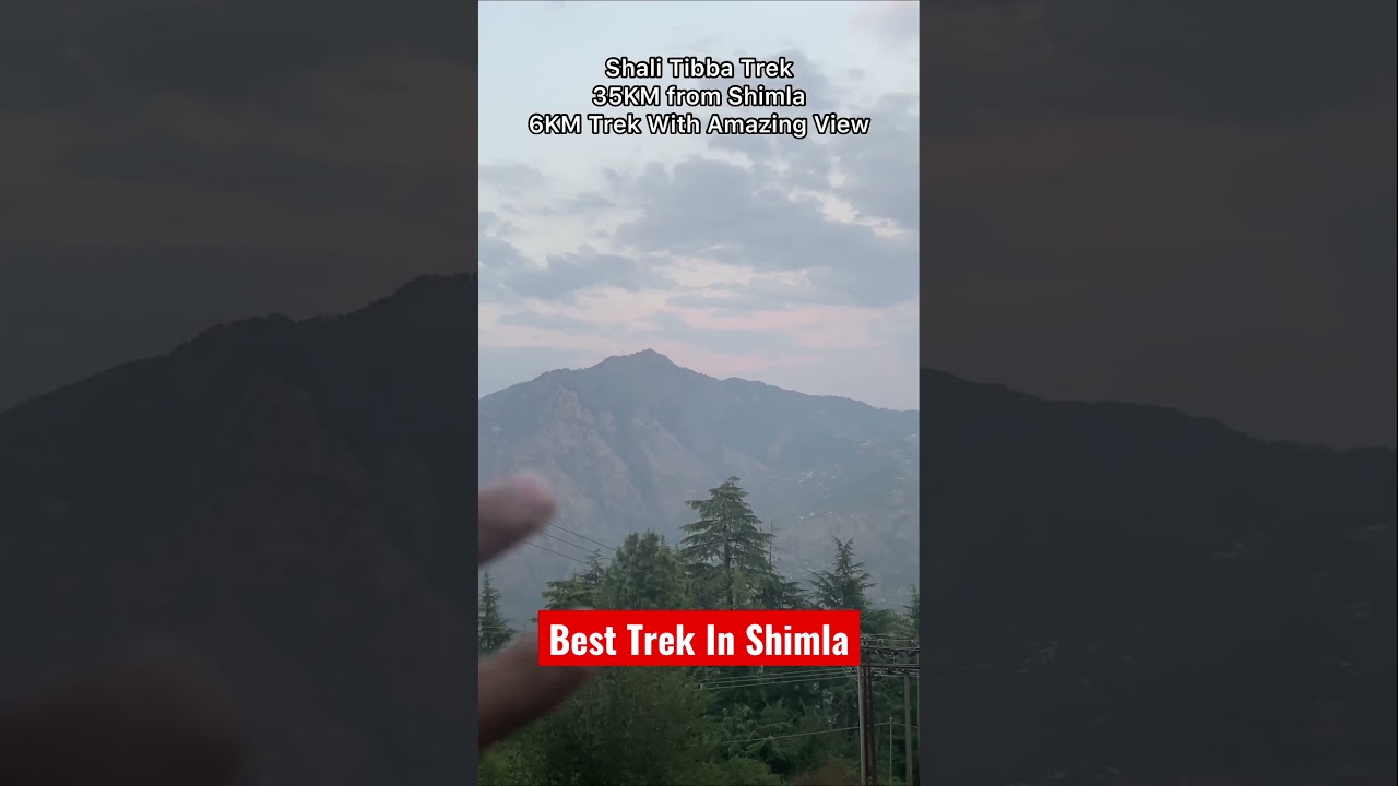 Shimla me Trekking Krne ka Man hai ? #shorts #vlogs #adventure #trekking #hike #shimla #himachal