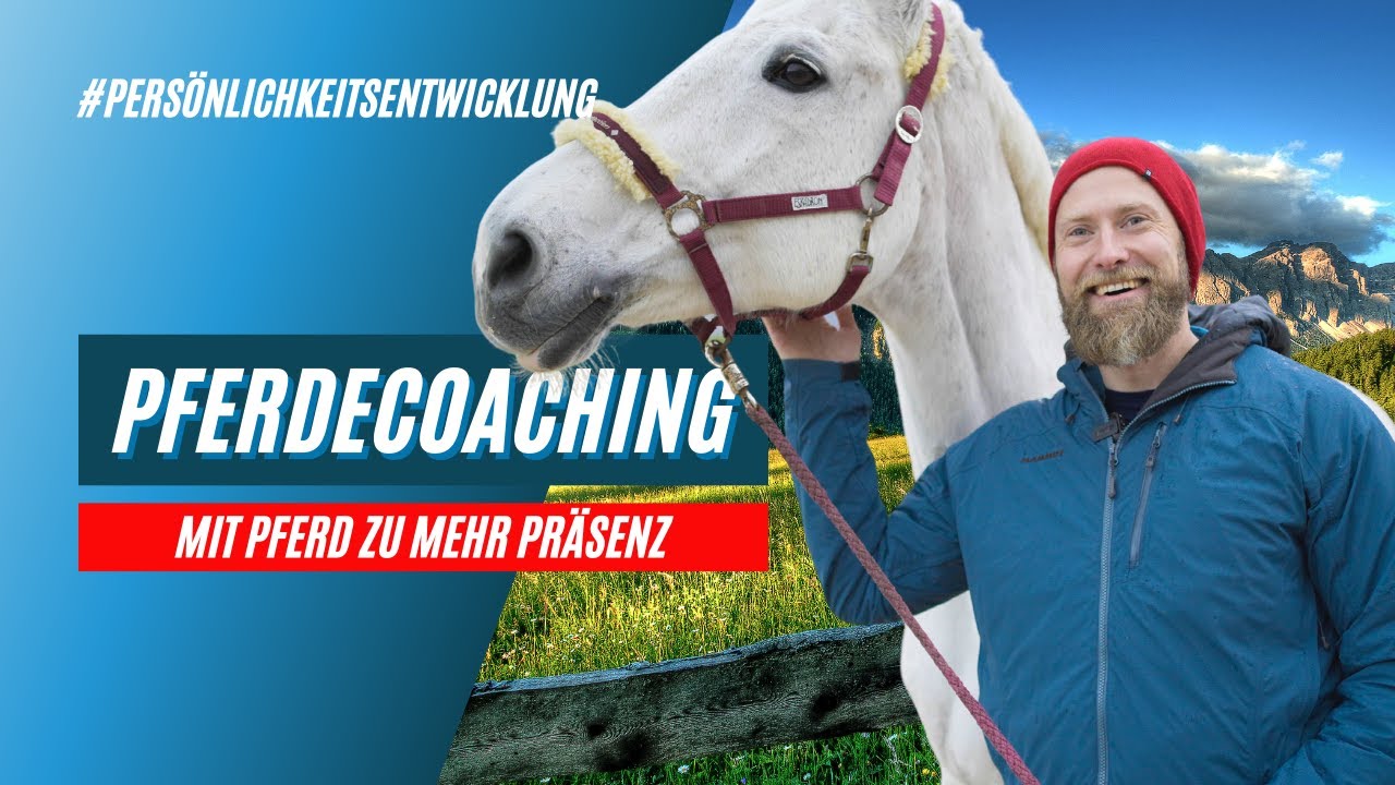 Coaching mit Pferden 🐎 - Pferdegest&uuml;tzte Pers&ouml;nlichkeitsentwicklung | Mehr Pr&auml;senz ausstrahlen