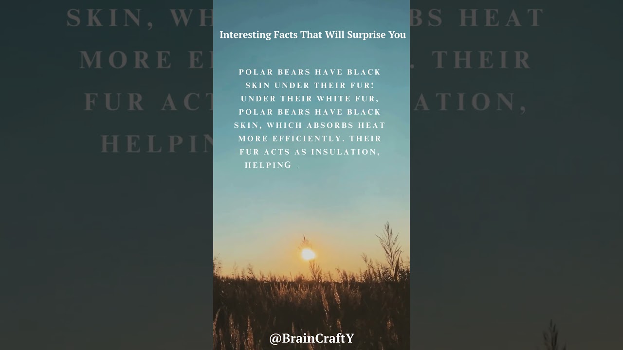 Strange Fact #7: Polar Bears Have Black Skin Under Their Fur!    