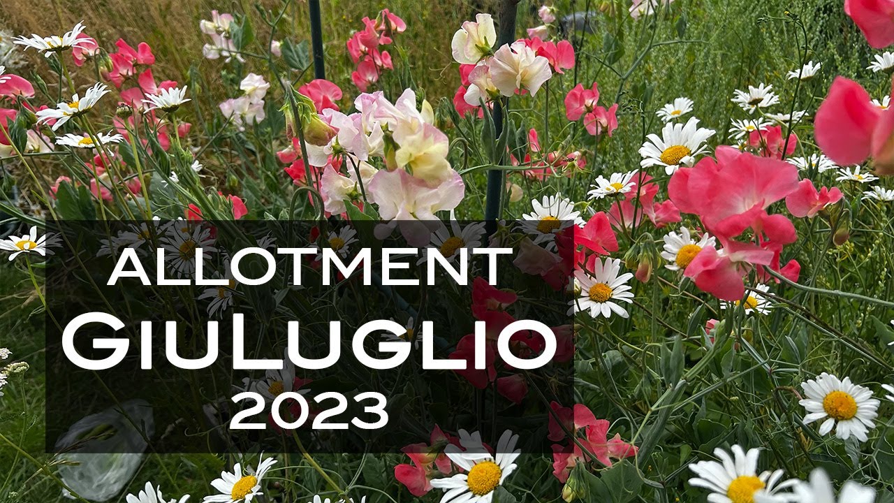 Allotment Giugno e Luglio 2023