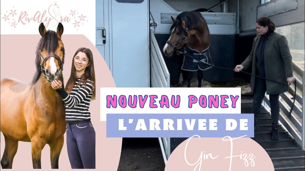 Grosse surprise! 🎁 l’arrivée d’un nouveau poney!