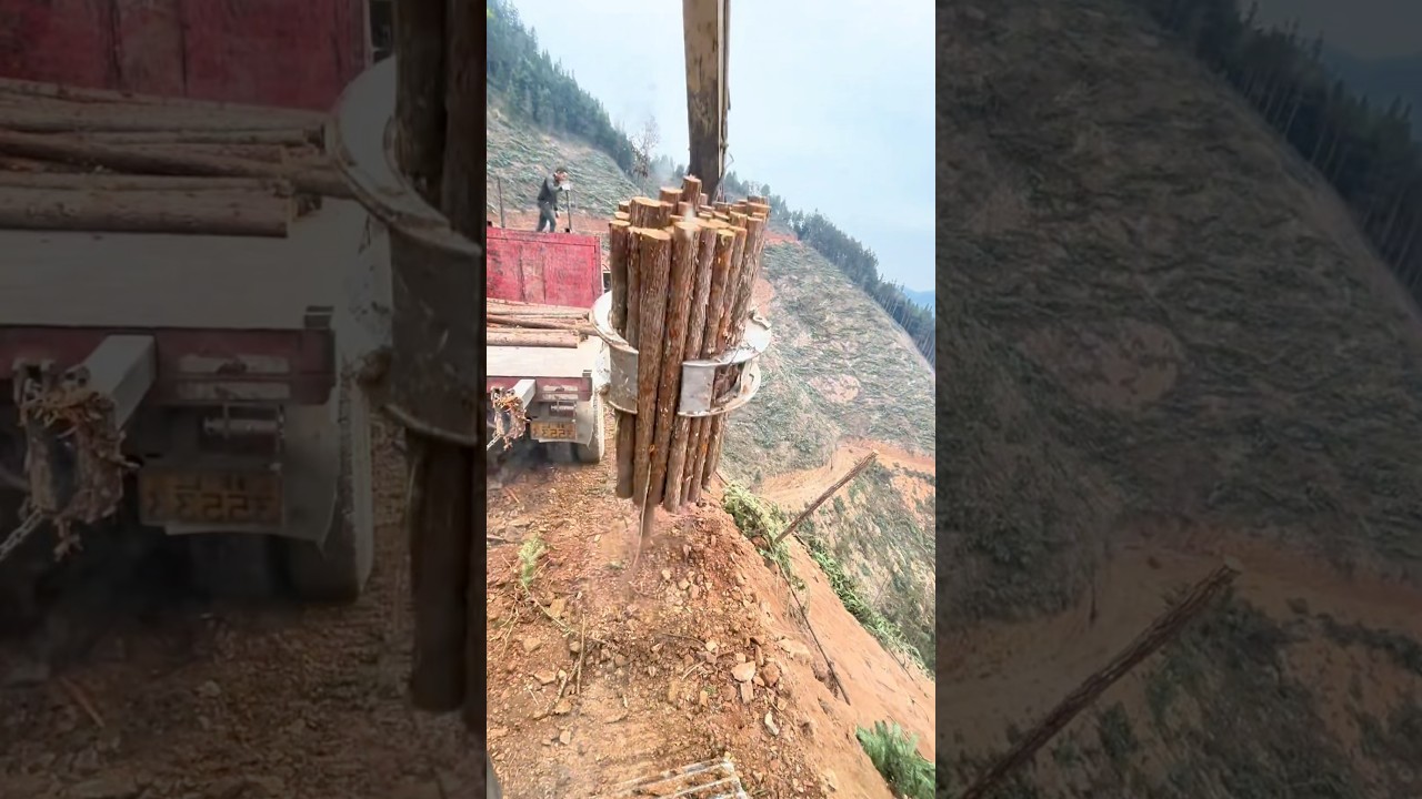 Log Loader Transporting Logs | Forestry Work | Excavator First-Person View #workers #machine