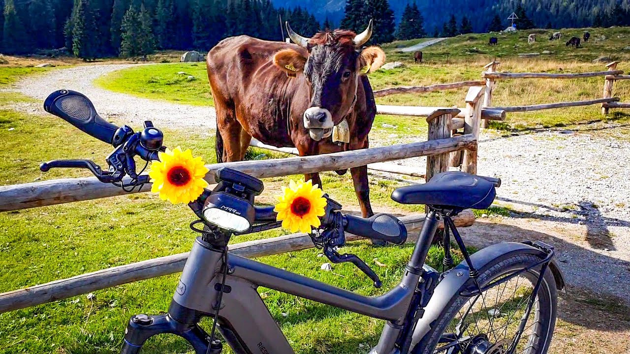Riese & Muller DELITE Rohloff 625 Watt eBike Mountain Trails @ Brenta Dolomites, TN - Italy 🇮🇹