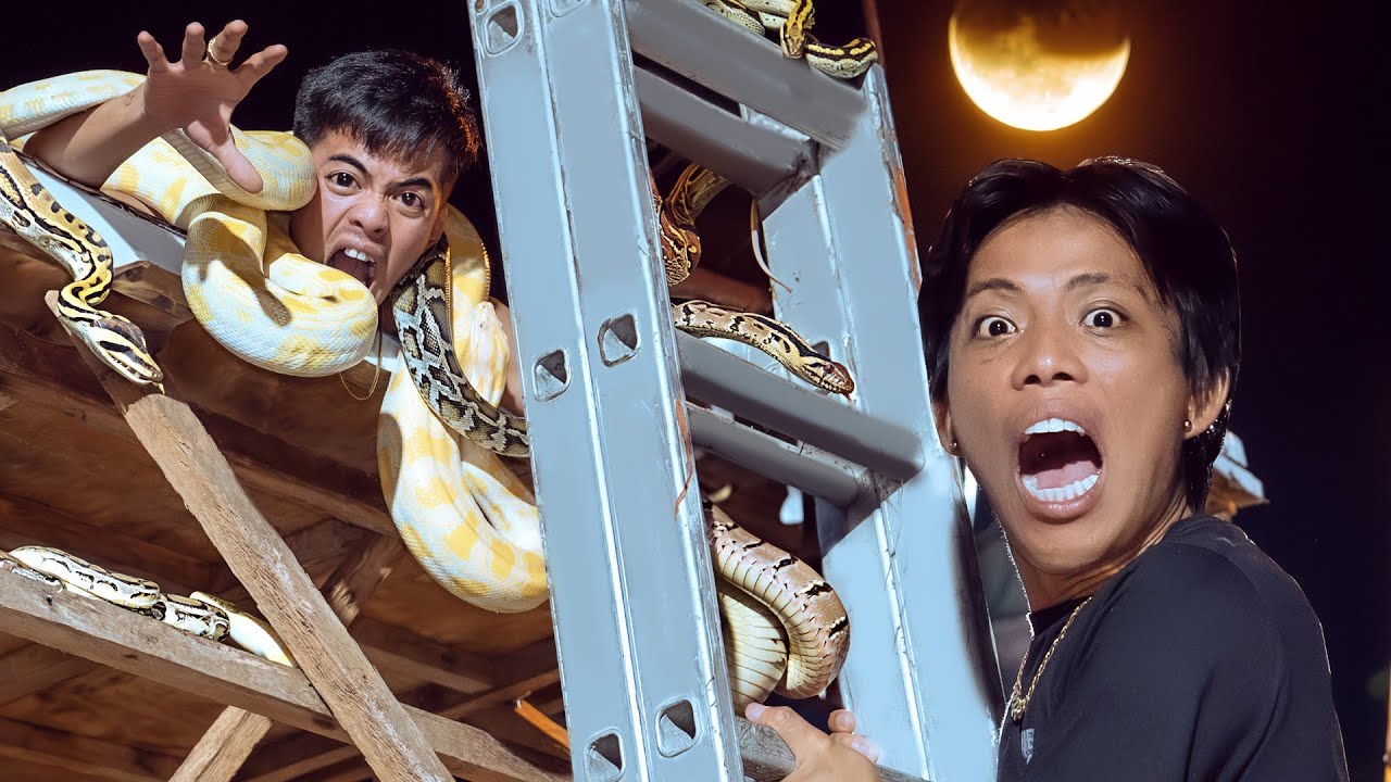 Snake & Ladder (Real Life)