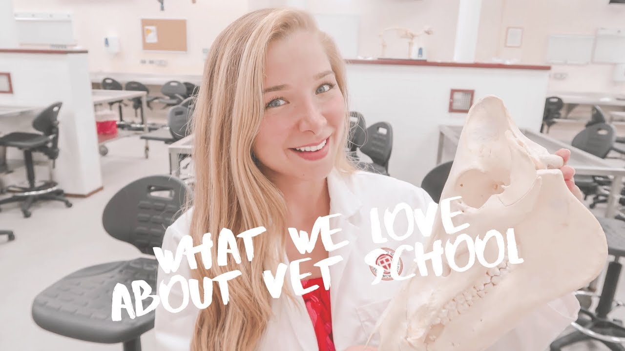 WHAT WE LOVE ABOUT VET SCHOOL