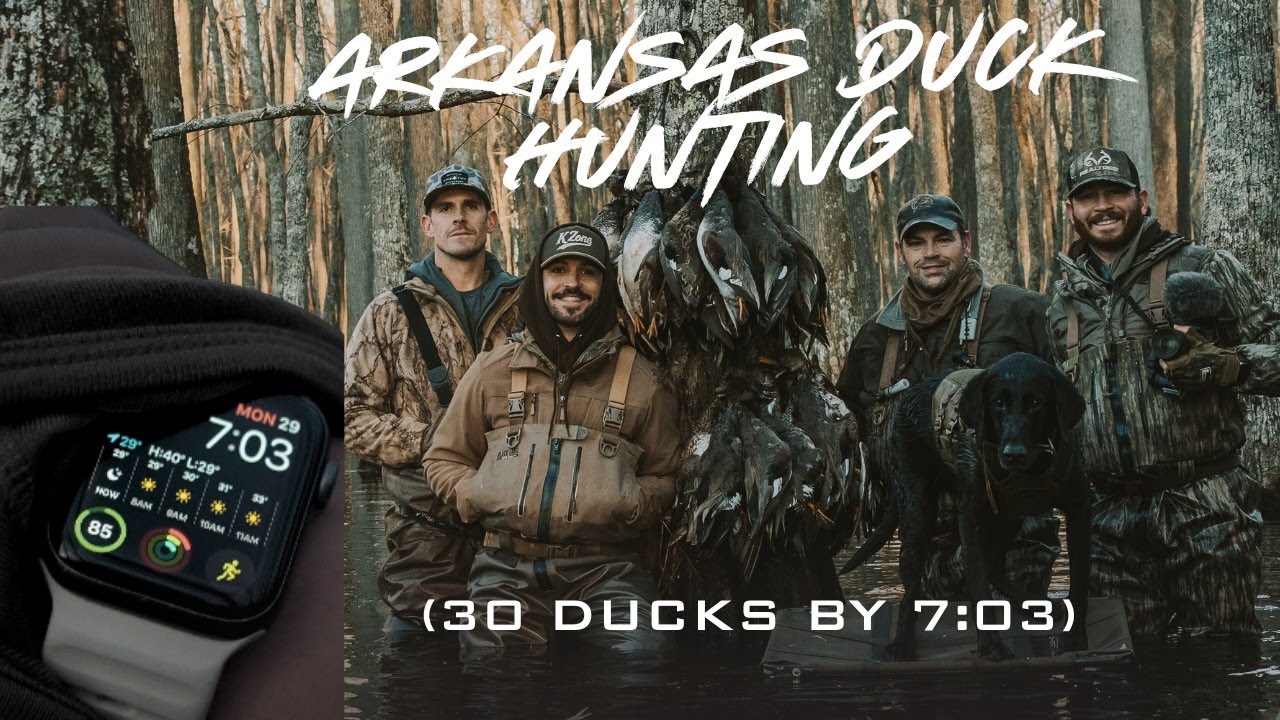 30 Ducks By 7:03! Incredible Arkansas Duck Hunt (Swamp Hunt)