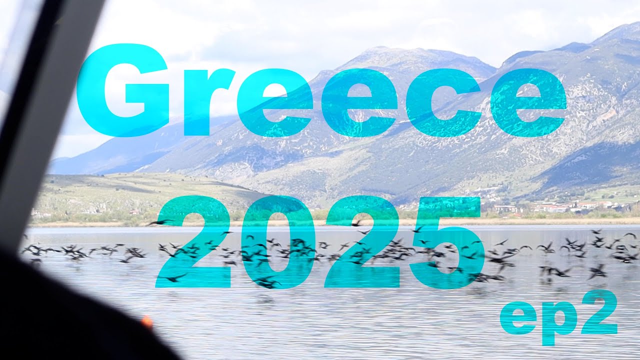Nisaki Ioannina / Νησί Ιωαννίνων | Greece 2025 ep2