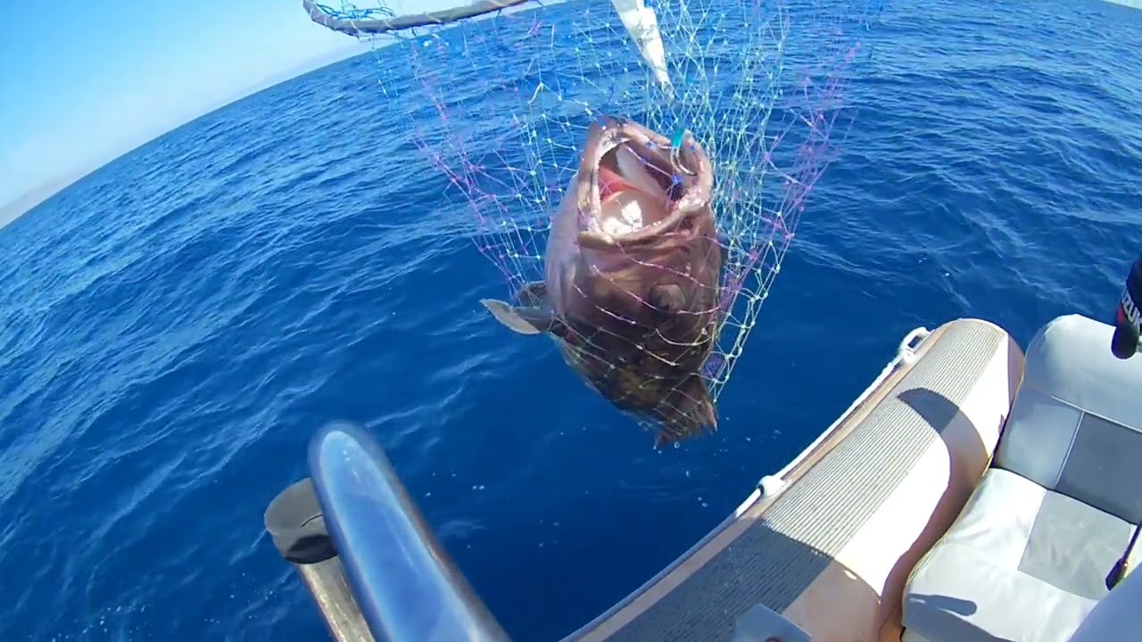 Slow pitch jigging - Στείρα και Σφυρίδα