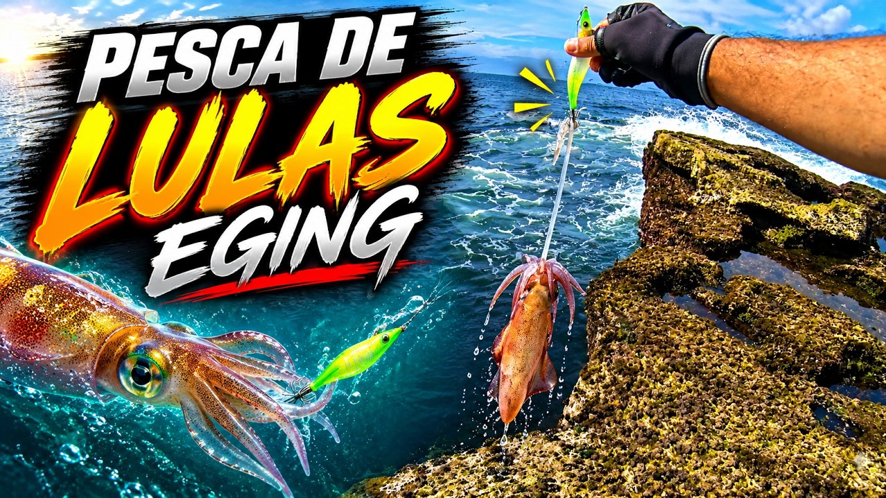 Pesca às lulas