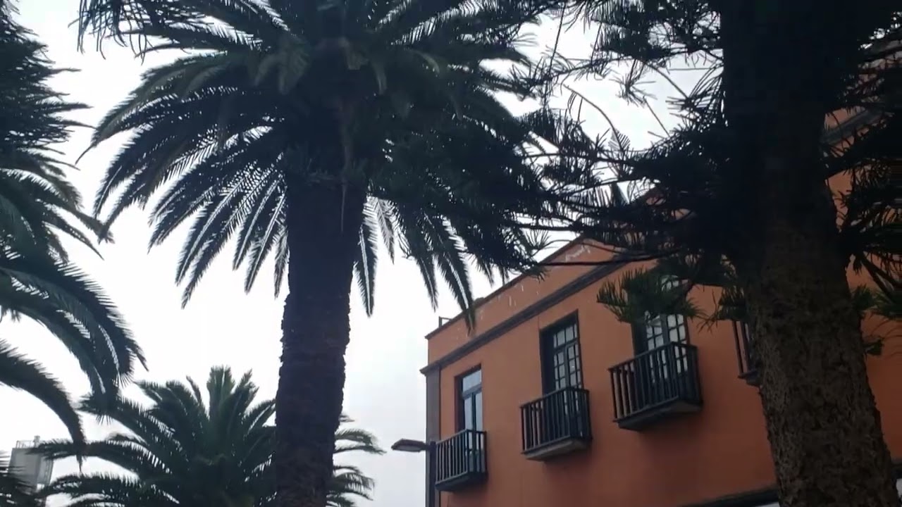 Plaza, Puerto de la Cruz, Tenerife, Canary Islands, Spain Feb  2022