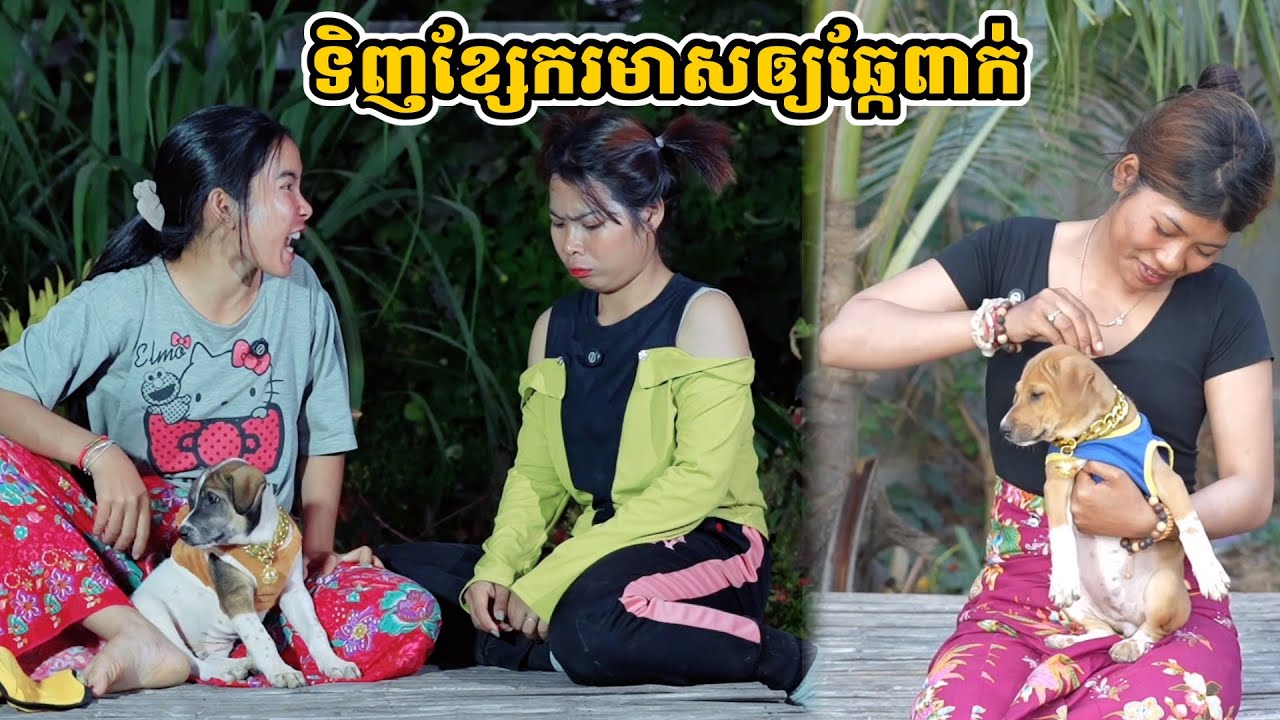 រឿង ទិញខ្សែករមាសឲ្យឆ្កែពាក់