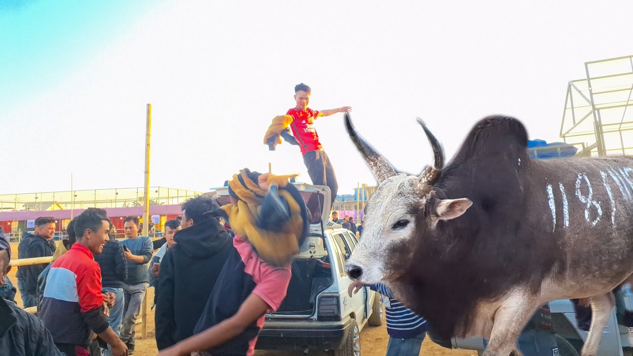 Shad ki nong kyrshan u Lieh heh jop ia u syang mookyndur / lieh heh song / best khasi song