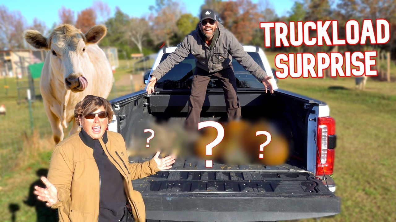 Our Animals Get a HUGE Surprise Today and Their Reaction is Priceless!