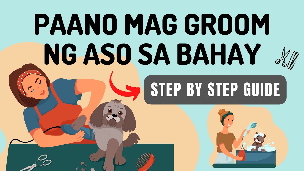 PAANO MAG GROOM NG ASO SA BAHAY | Step by Step Guide | Munting Kennel