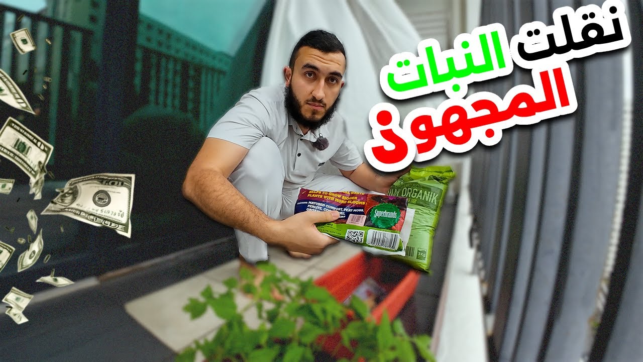 نقلت النبات المجهول الى تربة جديدة