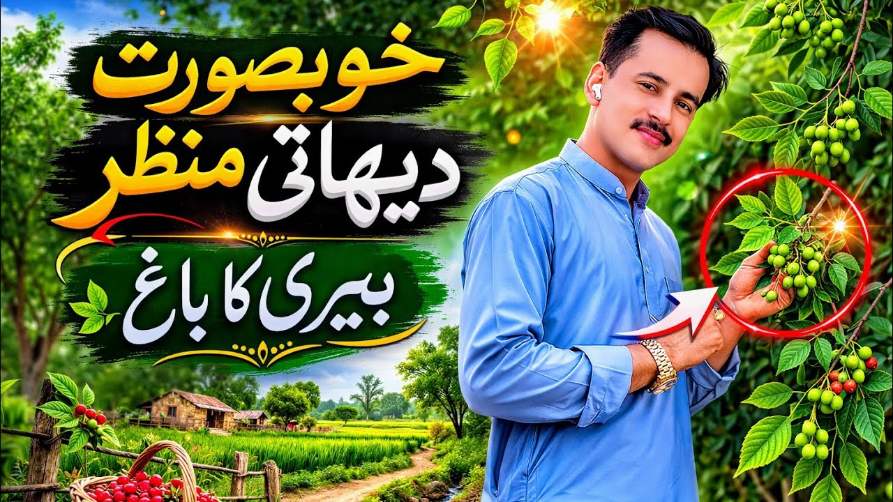 🌸Khobsurt dahanyan k khet k phol aor beree ka baag Sar sabiz kacha ki sayr🏞️@AsadullahMahar-786